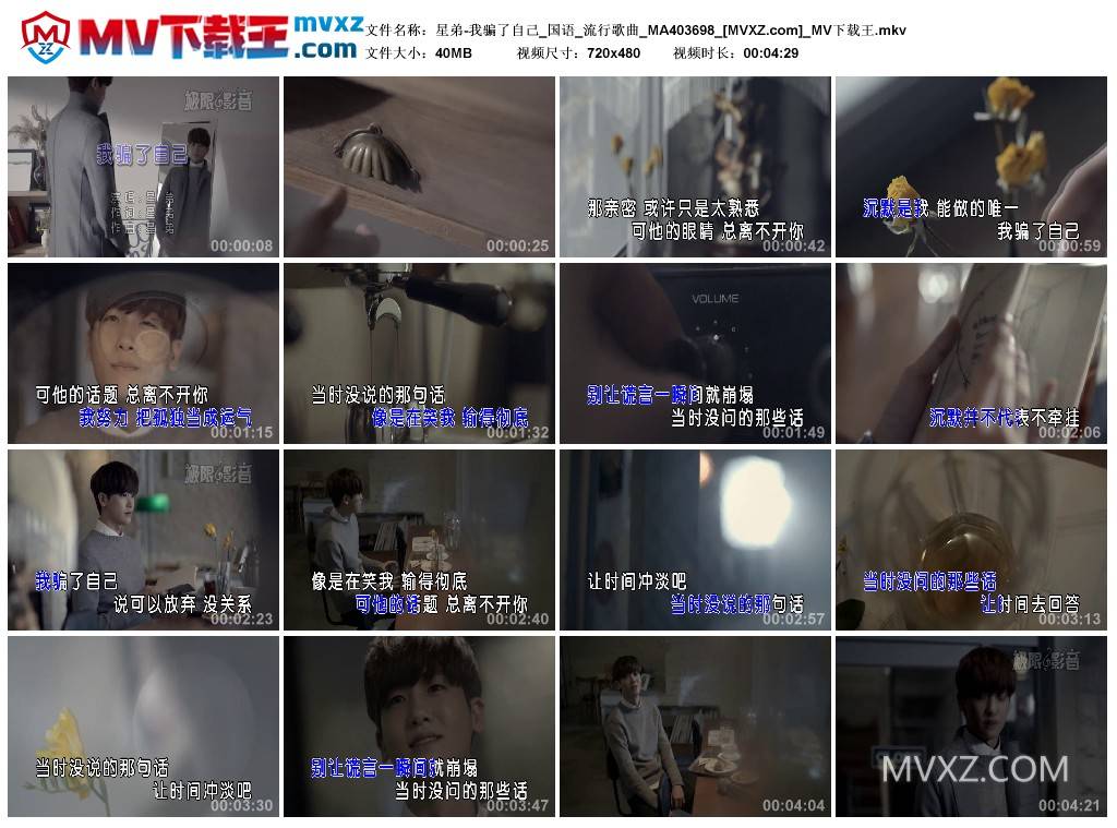 星弟-我骗了自己_国语_流行歌曲_MA403698
